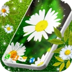 3d daisy spring live wallpaper android application logo